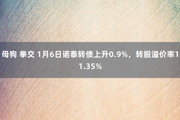 母狗 拳交 1月6日诺泰转债上升0.9%，转股溢价率11.35%