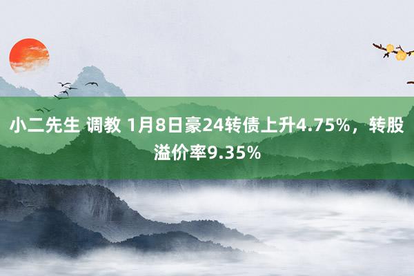 小二先生 调教 1月8日豪24转债上升4.75%，转股溢价率9.35%