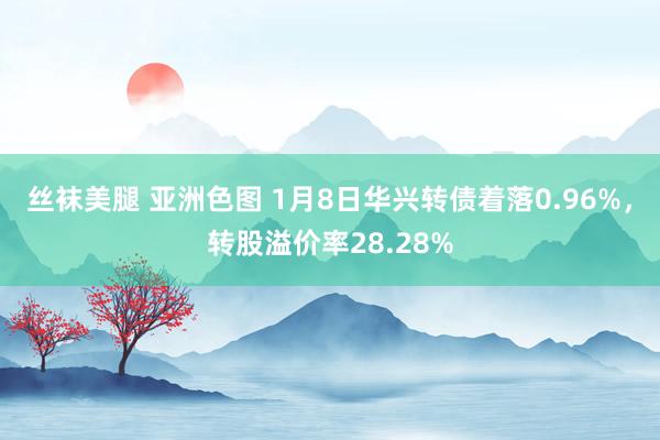 丝袜美腿 亚洲色图 1月8日华兴转债着落0.96%，转股溢价率28.28%