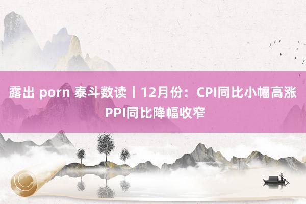 露出 porn 泰斗数读丨12月份：CPI同比小幅高涨 PPI同比降幅收窄