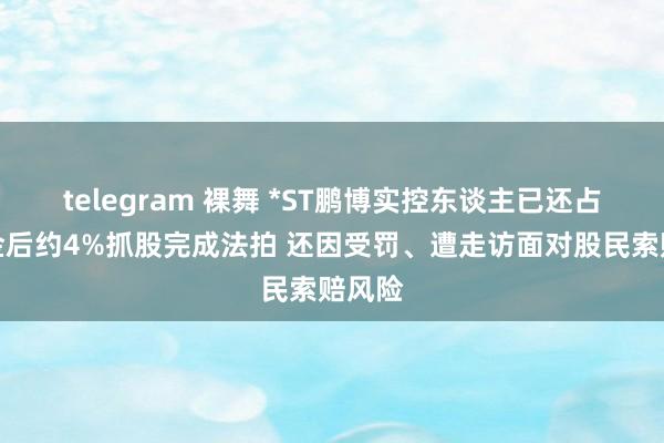 telegram 裸舞 *ST鹏博实控东谈主已还占用资金后约4%抓股完成法拍 还因受罚、遭走访面对股民索赔风险