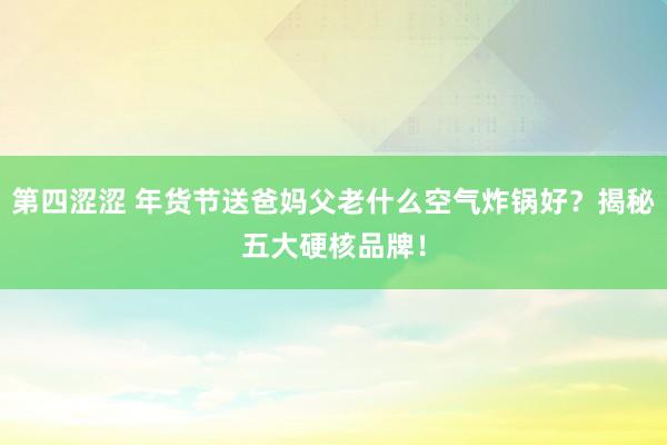 第四涩涩 年货节送爸妈父老什么空气炸锅好？揭秘五大硬核品牌！