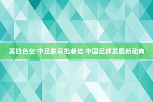 第四色空 中足联获批栽培 中国足球发展新动向