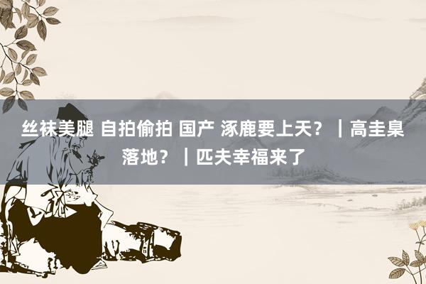 丝袜美腿 自拍偷拍 国产 涿鹿要上天？｜高圭臬落地？｜匹夫幸福来了