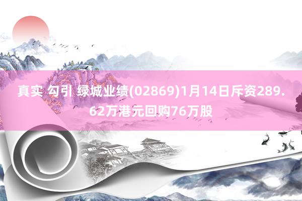 真实 勾引 绿城业绩(02869)1月14日斥资289.62万港元回购76万股