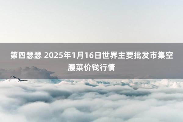 第四瑟瑟 2025年1月16日世界主要批发市集空腹菜价钱行情