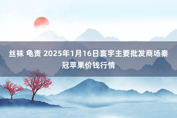 丝袜 龟责 2025年1月16日寰宇主要批发商场秦冠苹果价钱行情