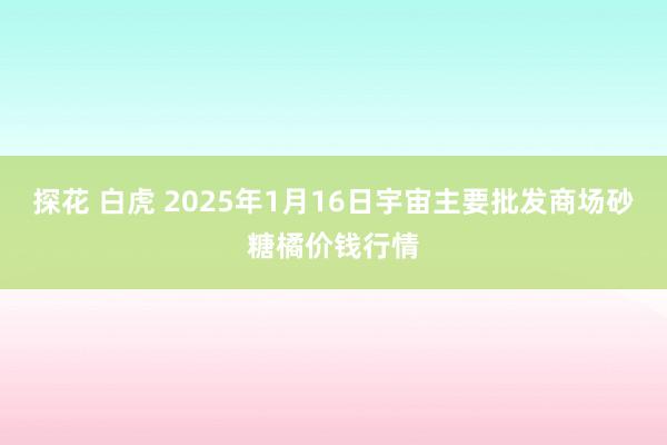 探花 白虎 2025年1月16日宇宙主要批发商场砂糖橘价钱行情